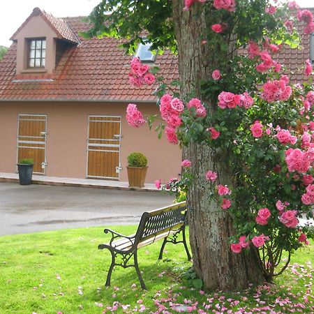 Hotel Du Moulin Aux Draps Desvres エクステリア 写真